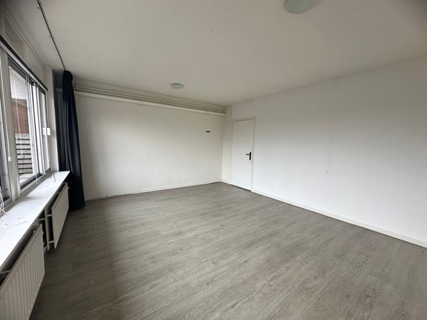 WhatsApp Image 2026-01-29 at 13.26.314.jpeg